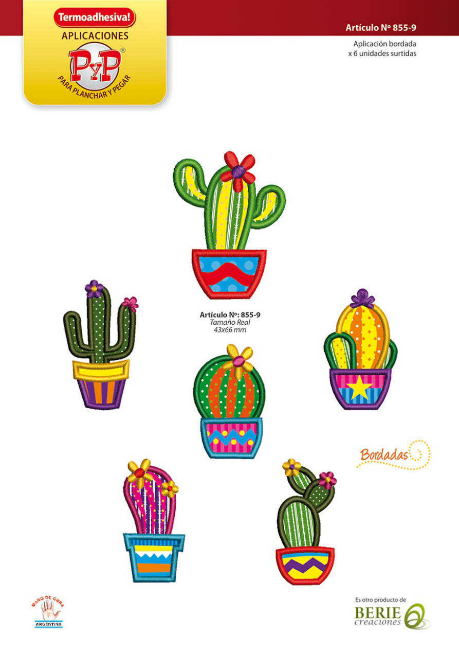 Aplicación BERIE Art. N° 855