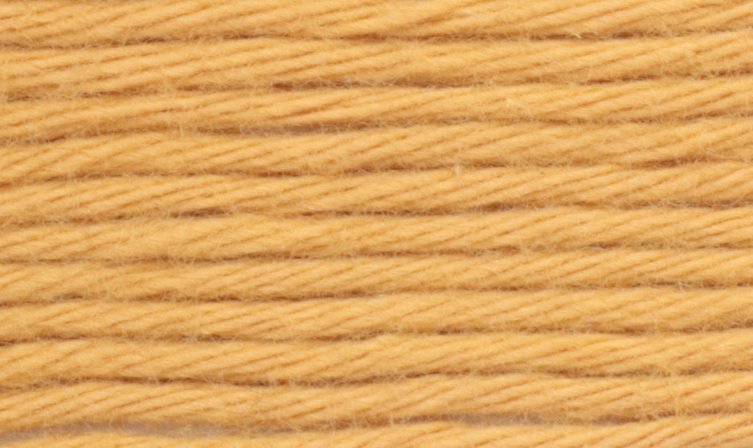 124-Mandarina