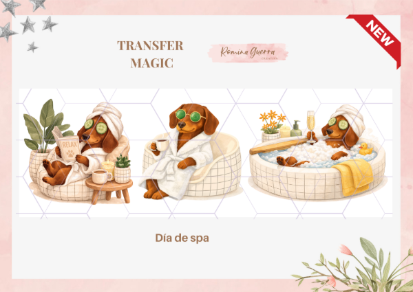 Transfer Magic - Día de spa