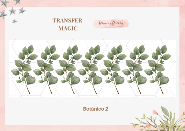 Transfer Magic - Botánica 2