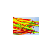 Cordones Fluo Art. 151