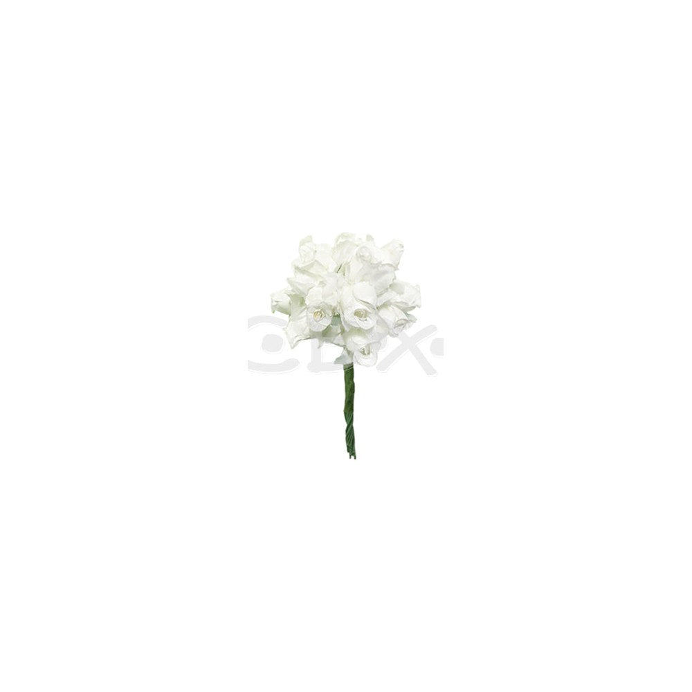 Flores CBX Art. 2003