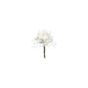 Flores CBX Art. 2003