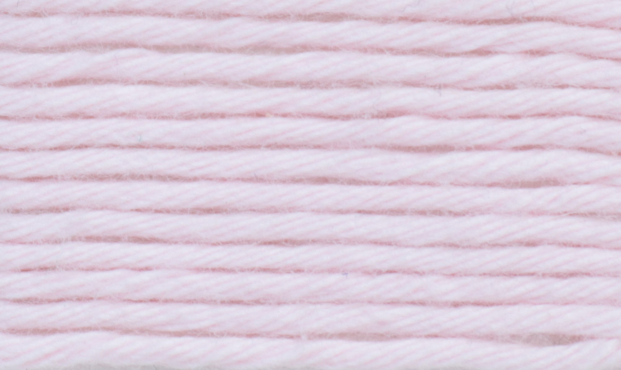 03-Rosa BB