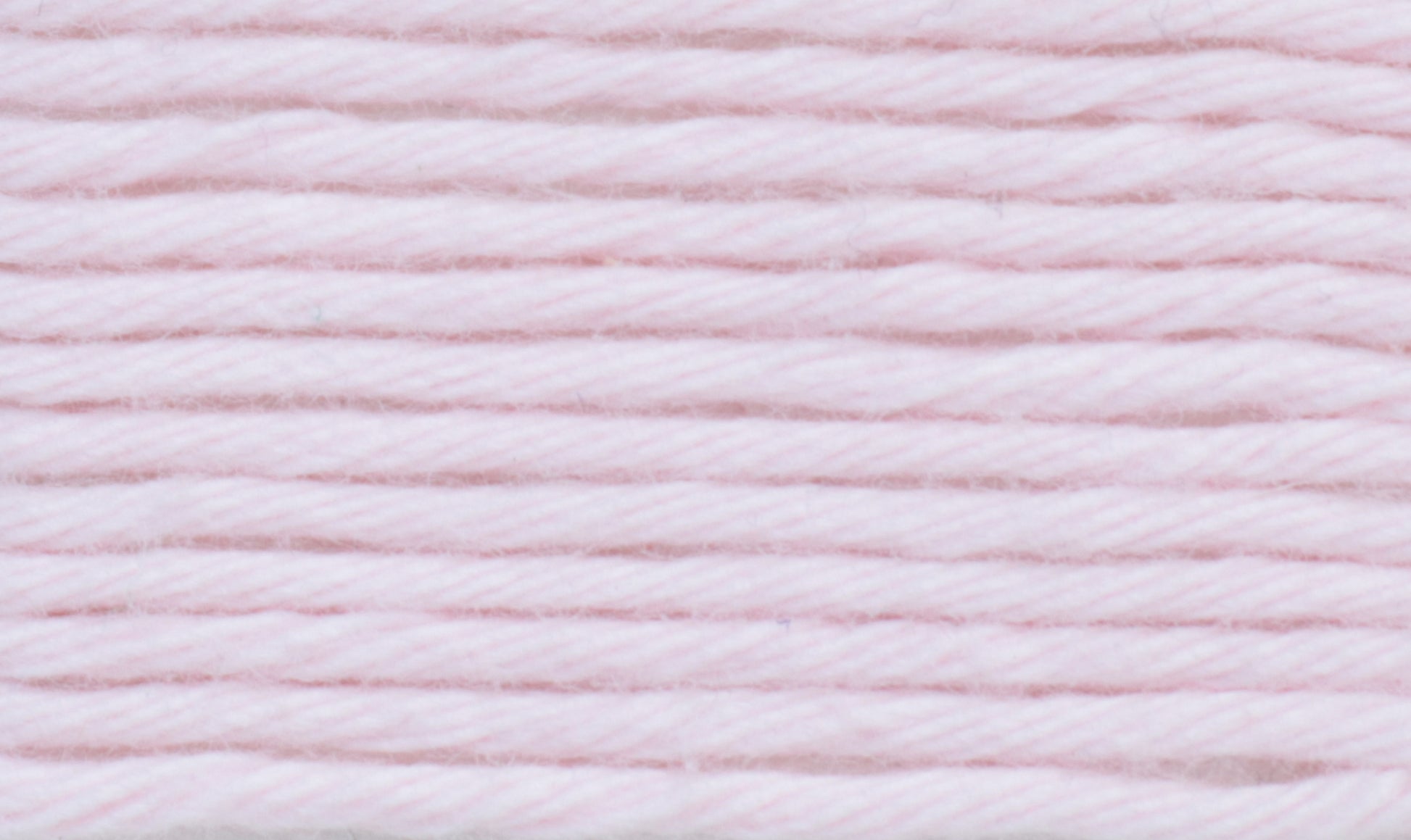 03-Rosa BB